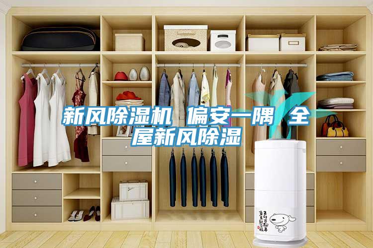 新風除濕機 偏安一隅 全屋新風除濕