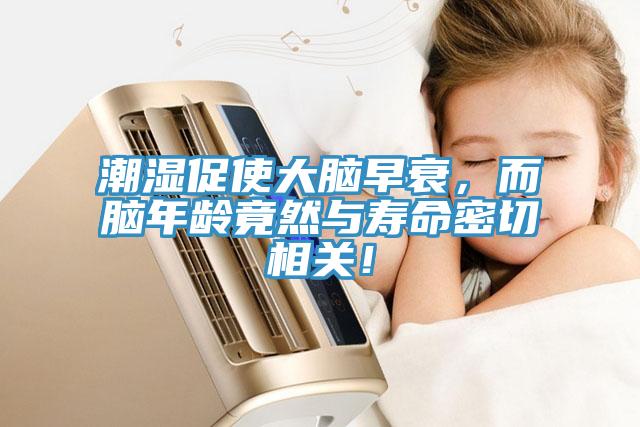 潮濕促使大腦早衰，而腦年齡竟然與壽命密切相關！