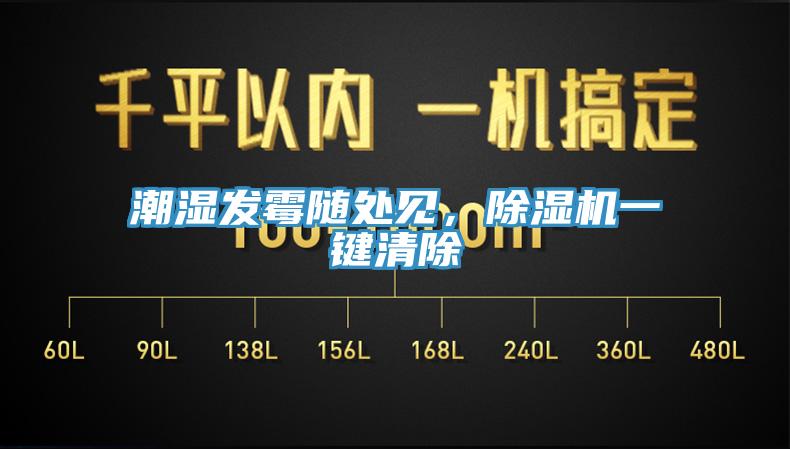 潮濕發(fā)霉隨處見(jiàn)，除濕機(jī)一鍵清除