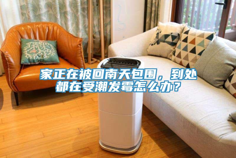 家正在被回南天包圍，到處都在受潮發(fā)霉怎么辦？