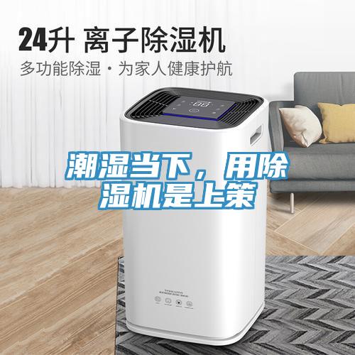 潮濕當下，用除濕機是上策