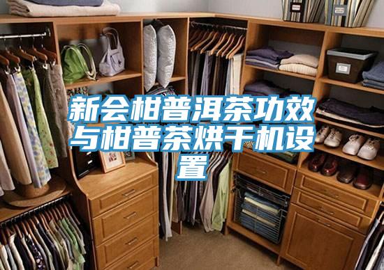 新會柑普洱茶功效與柑普茶烘干機設置