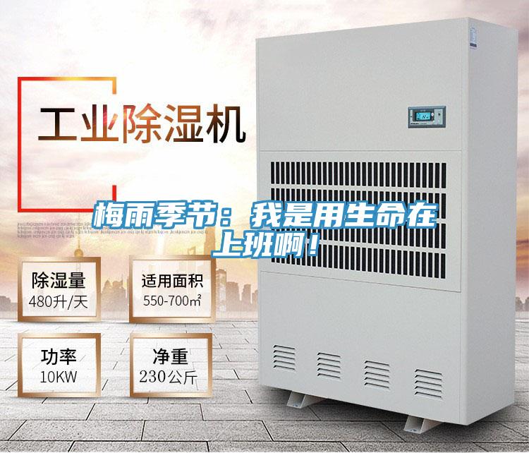 梅雨季節(jié)：我是用生命在上班啊！