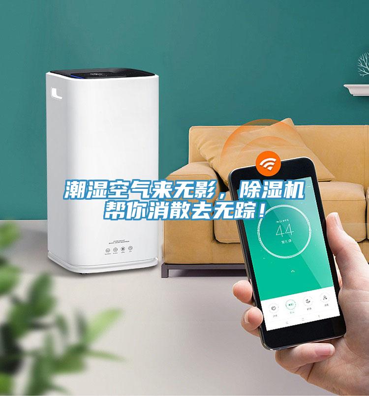 潮濕空氣來無影，除濕機幫你消散去無蹤！