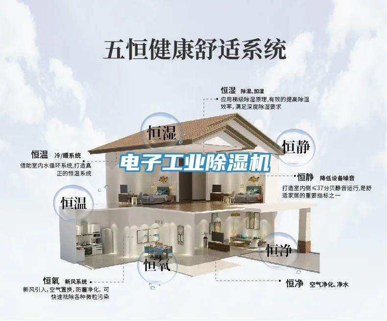 電子工業(yè)除濕機(jī)