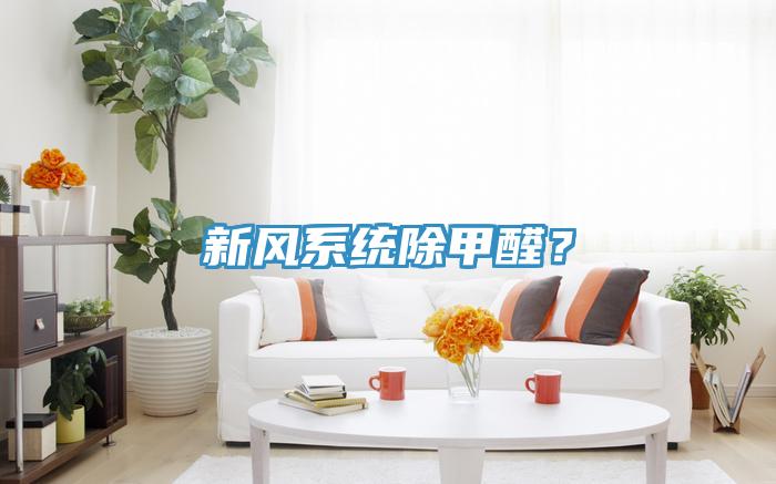 新風系統除甲醛？
