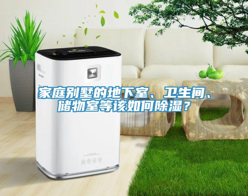 家庭別墅的地下室、衛(wèi)生間、儲物室等該如何除濕？