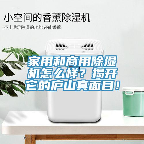 家用和商用除濕機怎么樣？揭開它的廬山真面目！