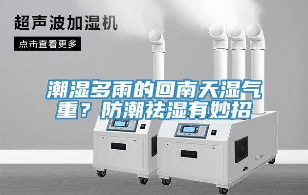 潮濕多雨的回南天濕氣重？防潮祛濕有妙招