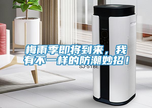 梅雨季即將到來,我有不一樣的防潮妙招!