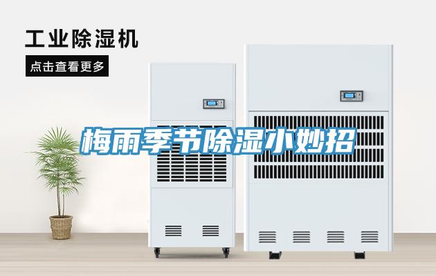 梅雨季節除濕小妙招