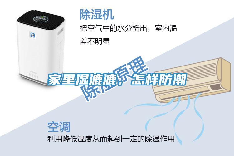 家里濕漉漉，怎樣防潮