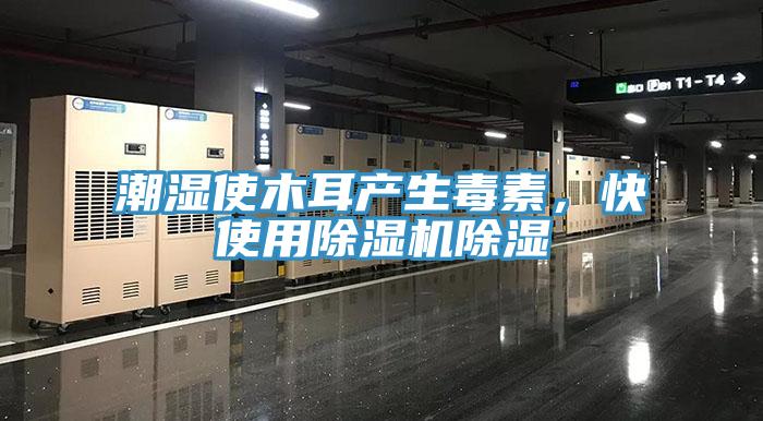 潮濕使木耳產(chǎn)生毒素，快使用除濕機(jī)除濕