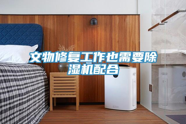文物修復工作也需要除濕機配合