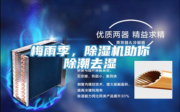 梅雨季，除濕機助你除潮去濕
