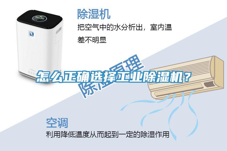 梅雨季鋼琴保養秘籍 鋼琴教室除濕機