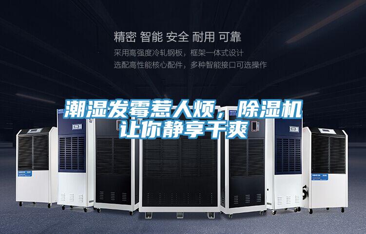 潮濕發(fā)霉惹人煩，除濕機(jī)讓你靜享干爽