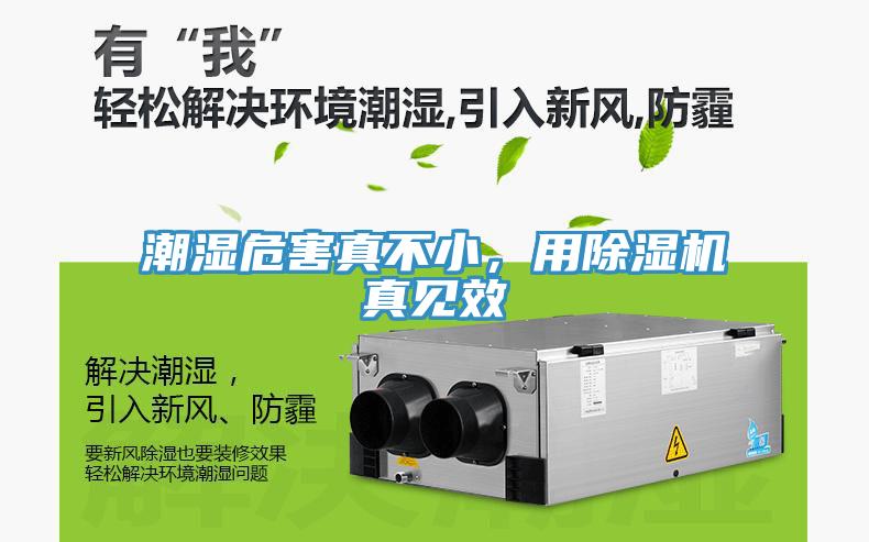 潮濕危害真不小，用除濕機(jī)真見(jiàn)效