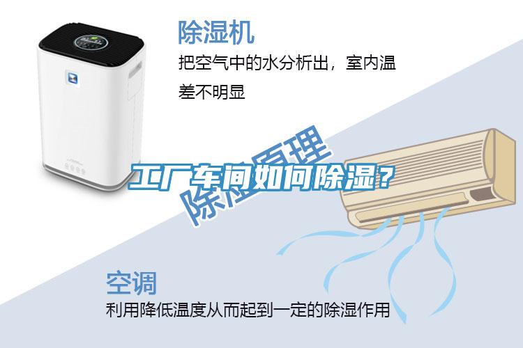 工廠車間如何除濕？