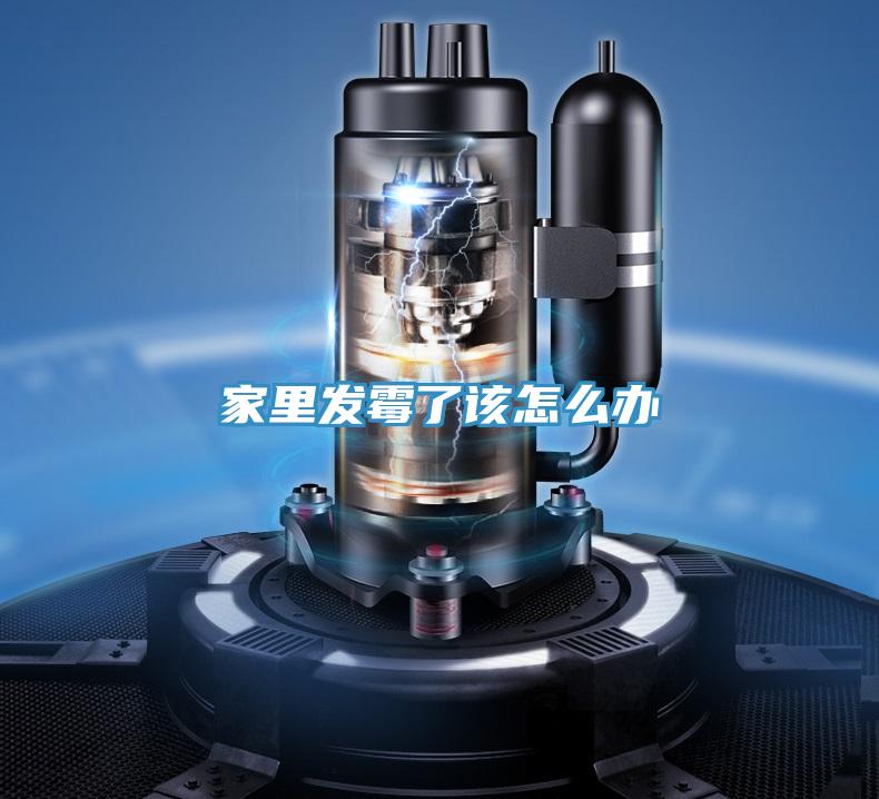 家里發霉了該怎么辦