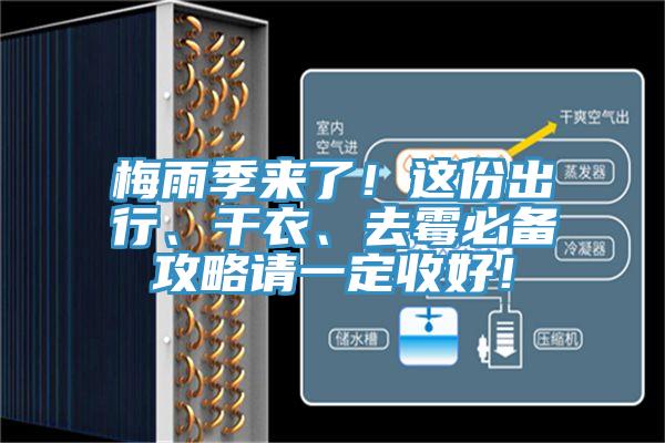 梅雨季來了！這份出行、干衣、去霉必備攻略請一定收好！