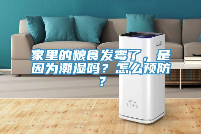 家里的糧食發(fā)霉了，是因為潮濕嗎？怎么預防？