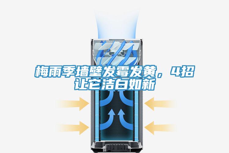 梅雨季墻壁發霉發黃,4招讓它潔白如新