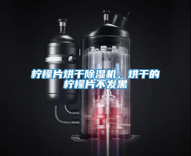 檸檬片烘干除濕機，烘干的檸檬片不發黑