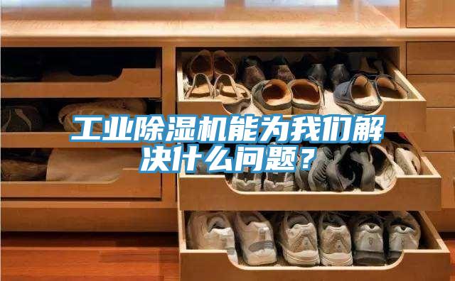 工業(yè)除濕機能為我們解決什么問題？