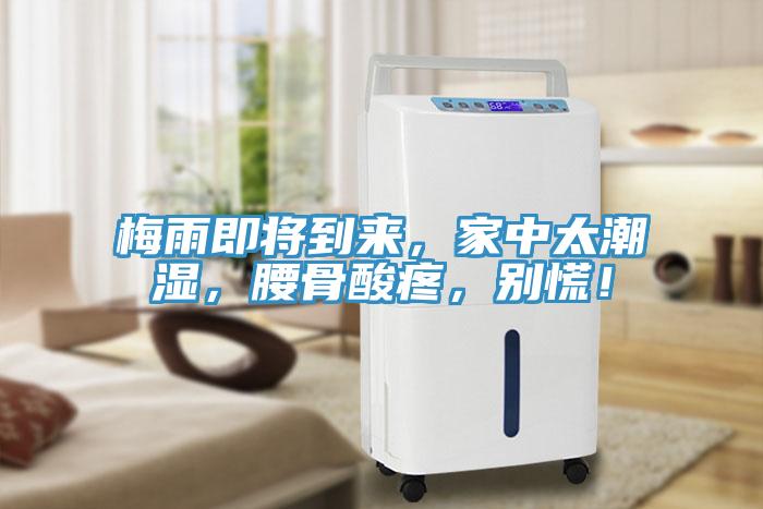 梅雨即將到來，家中太潮濕，腰骨酸疼，別慌！