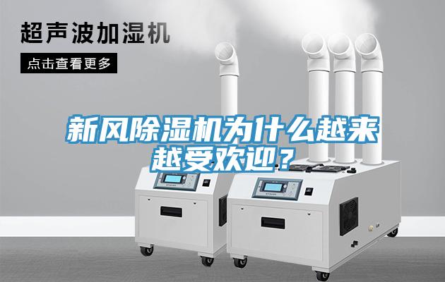 新風除濕機為什么越來越受歡迎？