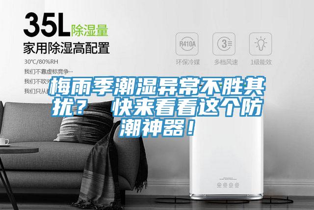 梅雨季潮濕異常不勝其擾？ 快來看看這個防潮神器！