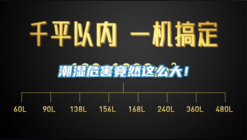 潮濕危害竟然這么大！