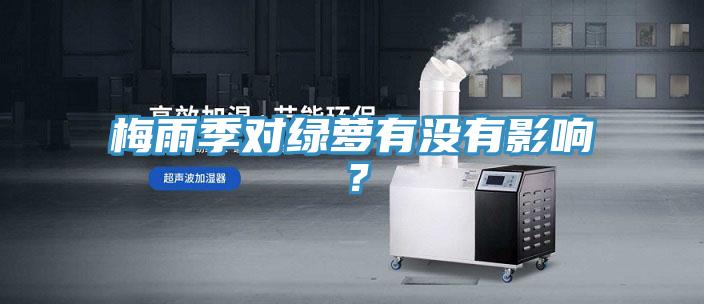 梅雨季對綠蘿有沒有影響?