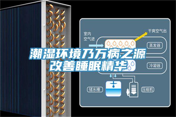 潮濕環境乃萬病之源改善睡眠精華