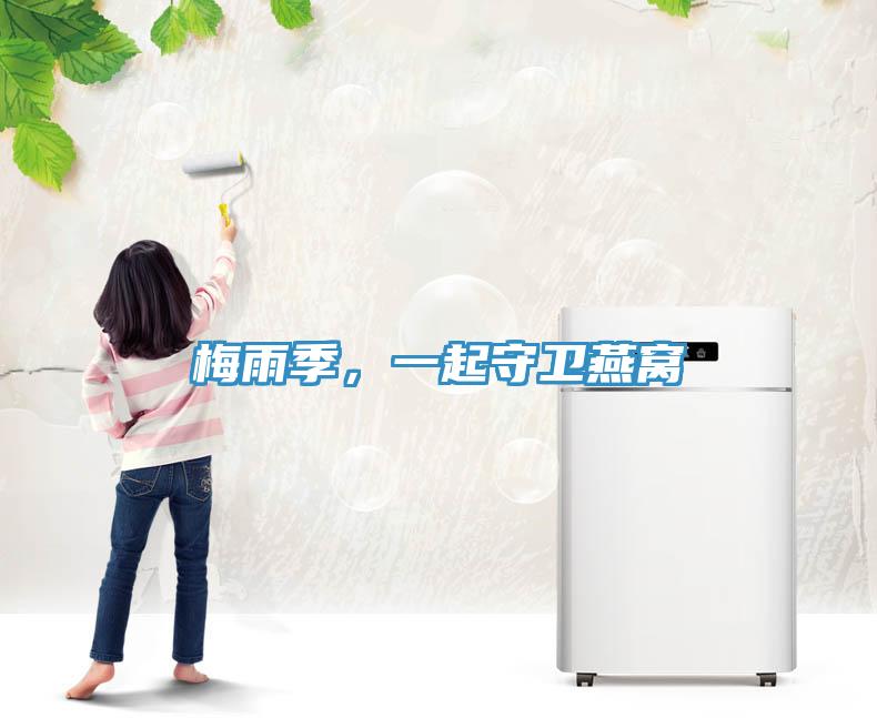 梅雨季,一起守衛燕窩