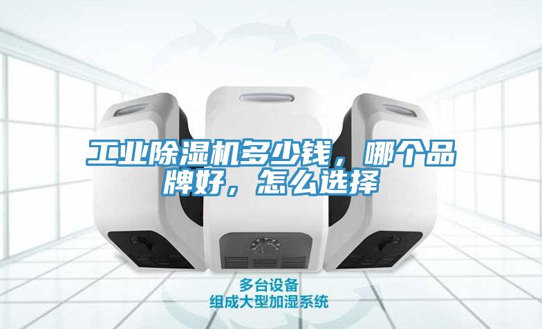 工業(yè)除濕機(jī)多少錢，哪個(gè)品牌好，怎么選擇