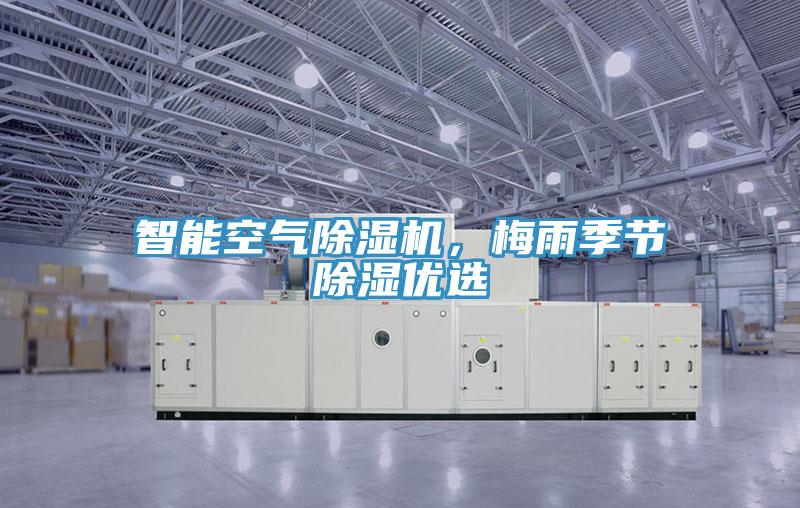 智能空氣除濕機，梅雨季節除濕優選