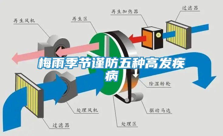 梅雨季節謹防五種高發疾病