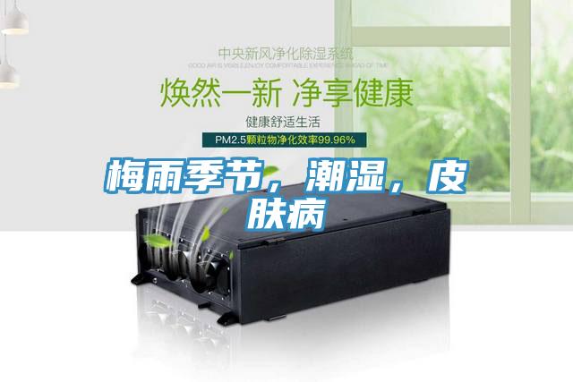 梅雨季節，潮濕，皮膚病