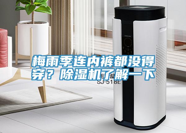 梅雨季連內褲都沒得穿？除濕機了解一下