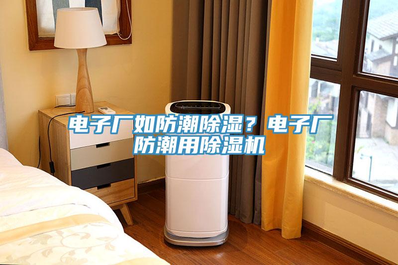 電子廠如防潮除濕?電子廠防潮用除濕機