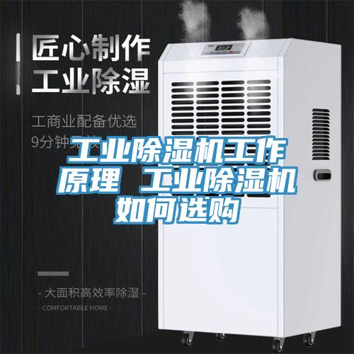 工業除濕機工作原理 工業除濕機如何選購