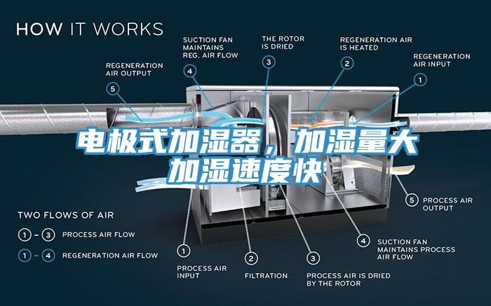 電極式加濕器，加濕量大加濕速度快