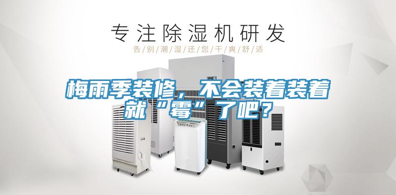梅雨季裝修，不會裝著裝著就“霉”了吧？