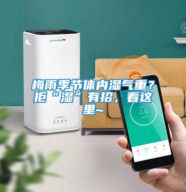 梅雨季節(jié)體內(nèi)濕氣重？拒“濕”有招，看這里~