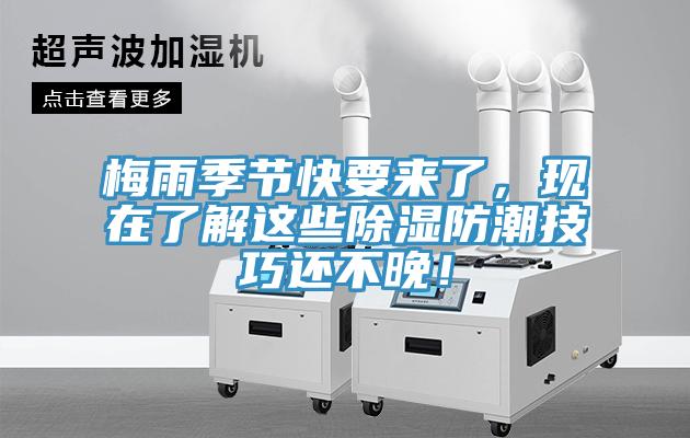 梅雨季節(jié)快要來了，現(xiàn)在了解這些除濕防潮技巧還不晚！
