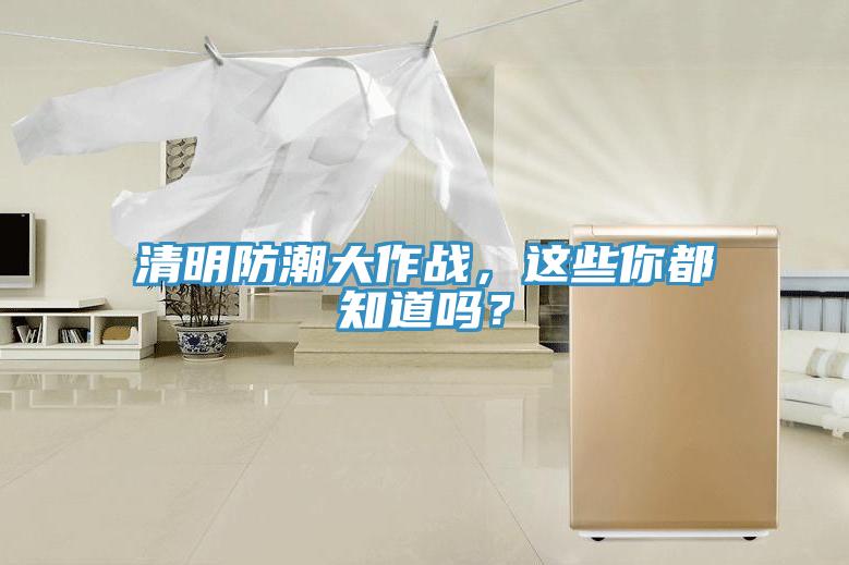 清明防潮大作戰，這些你都知道嗎？