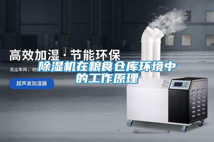 除濕機在糧食倉庫環境中的工作原理