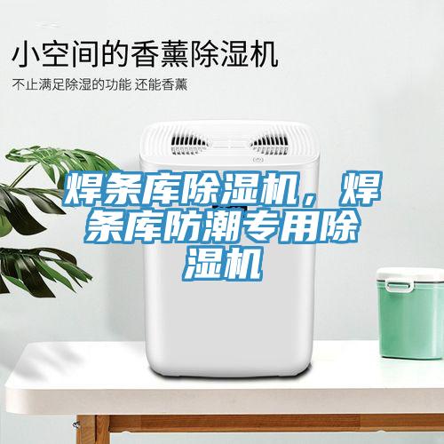 焊條庫除濕機，焊條庫防潮專用除濕機